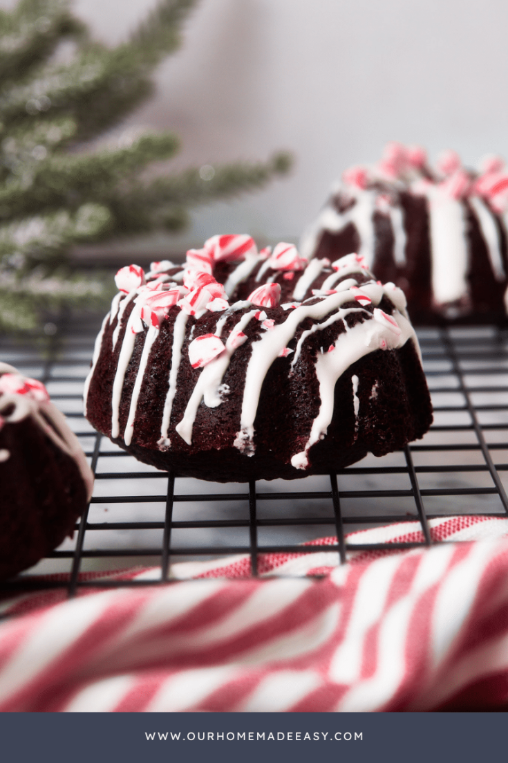 Mini-Bundt Cakes for Easy Holiday Gifting - Challenge Dairy