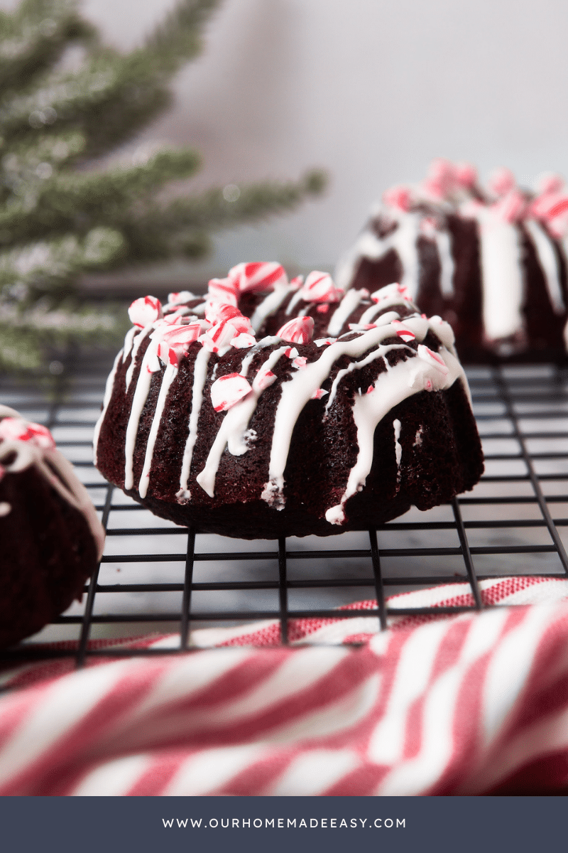https://www.ourhomemadeeasy.com/wp-content/uploads/2023/10/Choc-Peppermint-Bundt-Cake-Finished-1.png