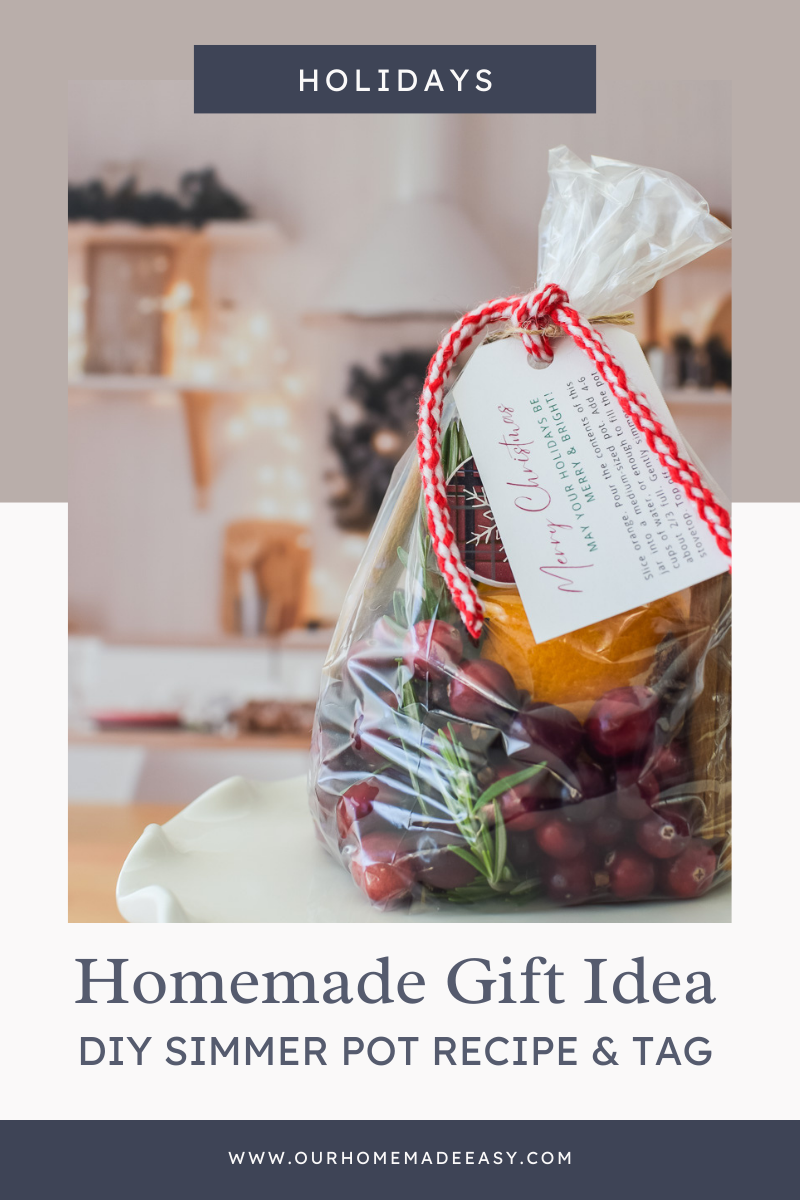 DIY Christmas Simmer Pot Gift Idea + Free Download - Fresh Mommy Blog