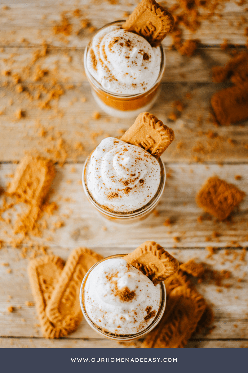 No Bake Pumpkin Cheesecake looking down on counter