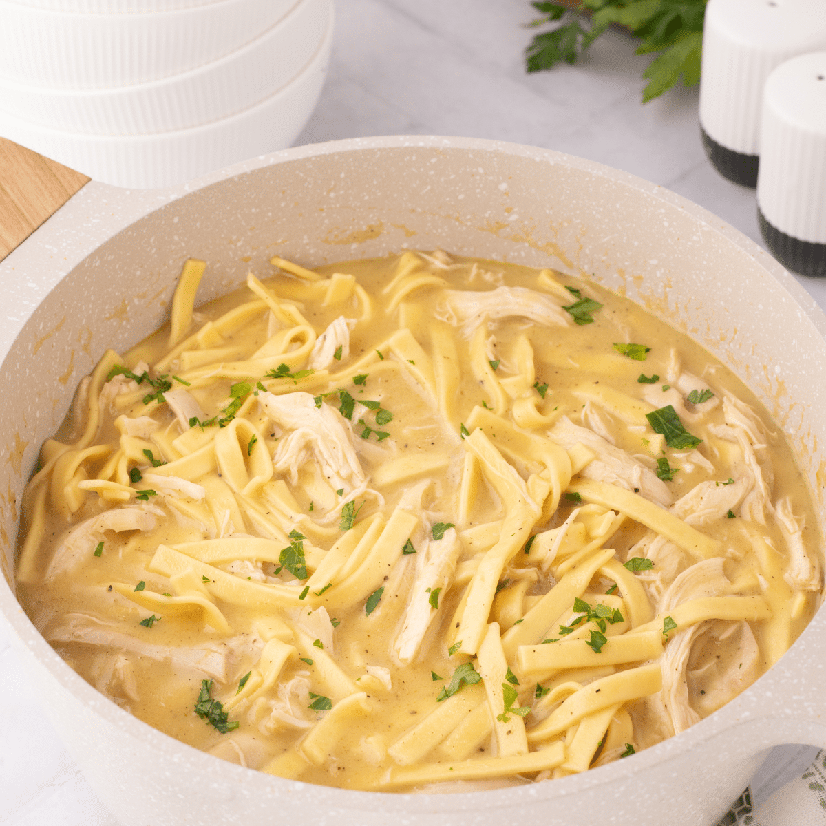 chicken and noodles dish on countertop