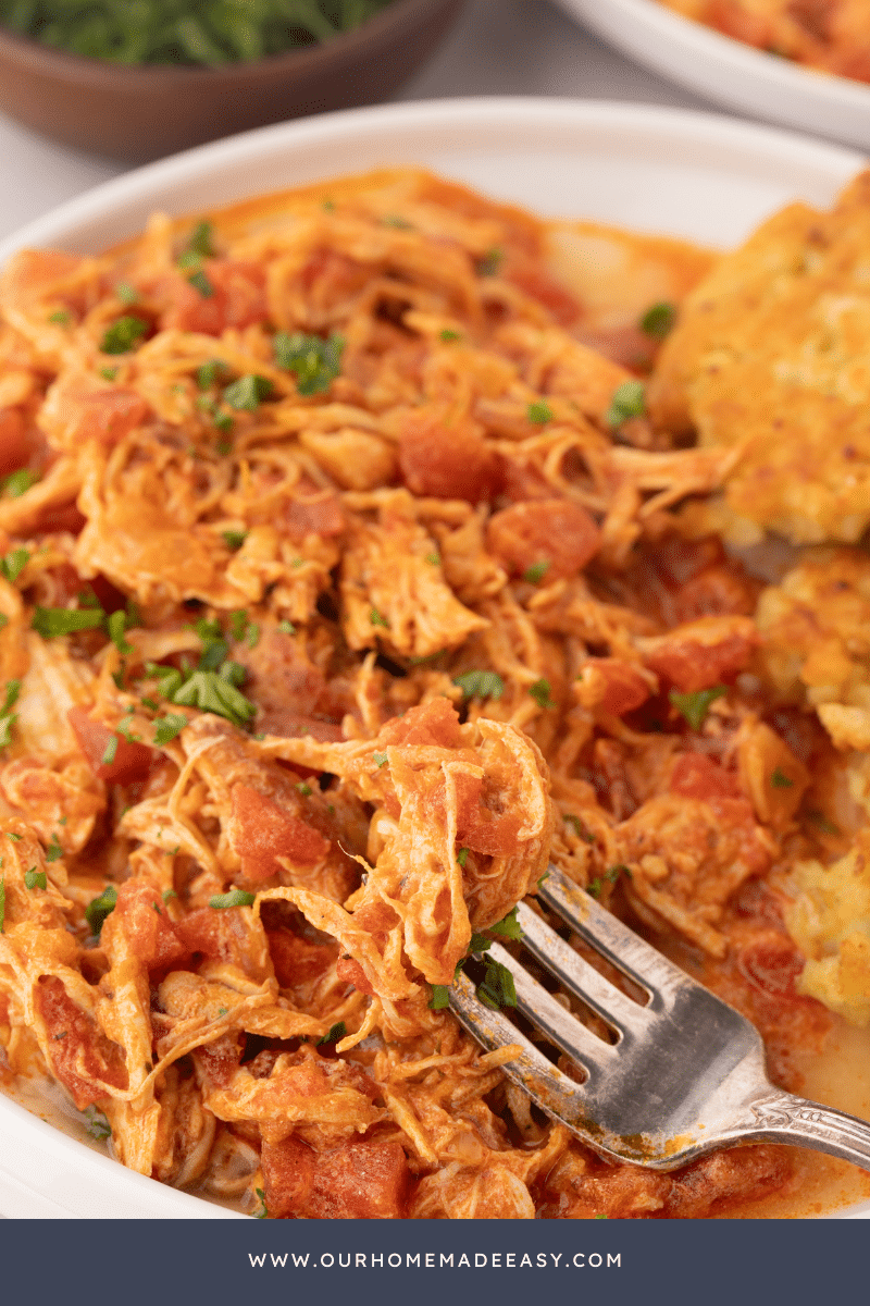 Chicken Stew with fork