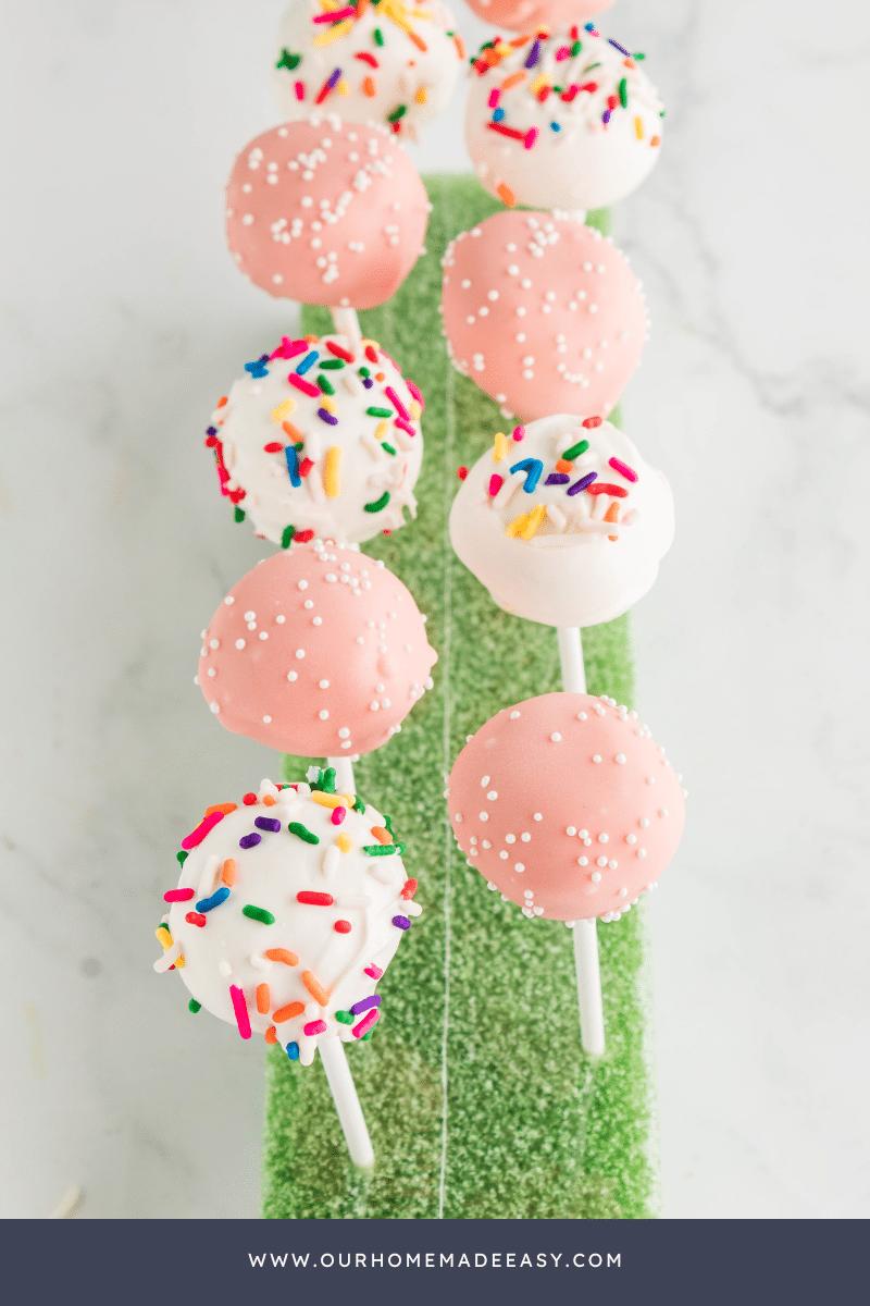 Vanilla cake pops in Styrofoam board