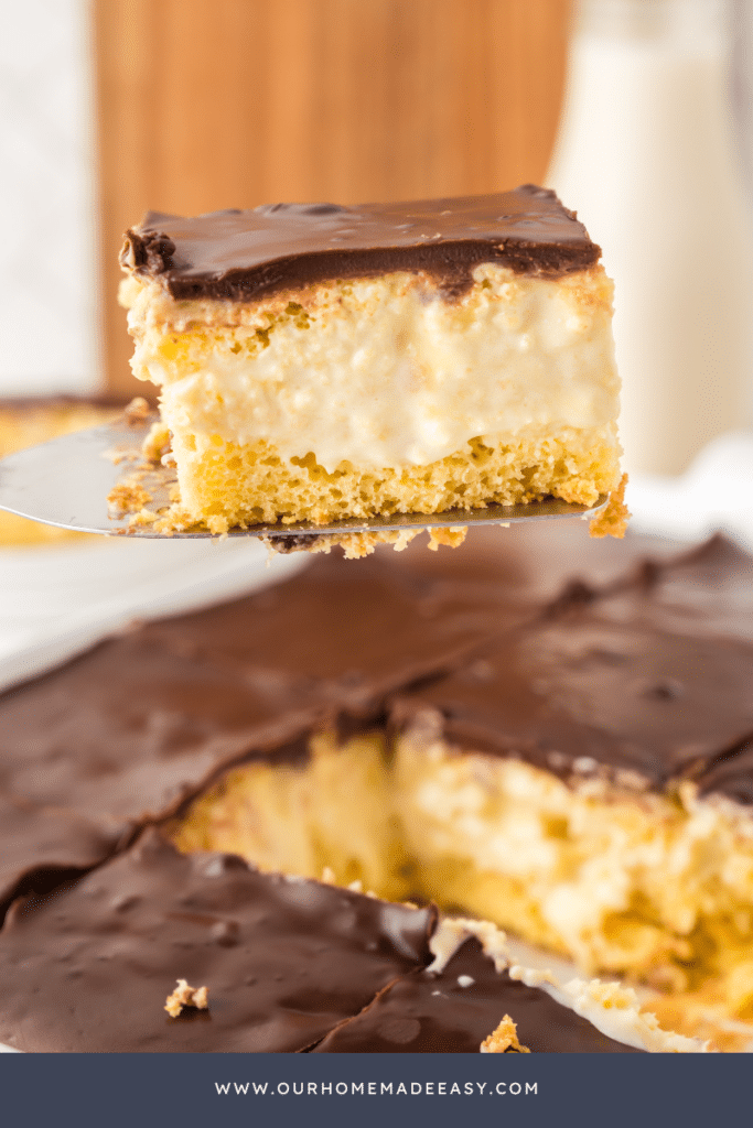 Chocolate vanilla cake slice