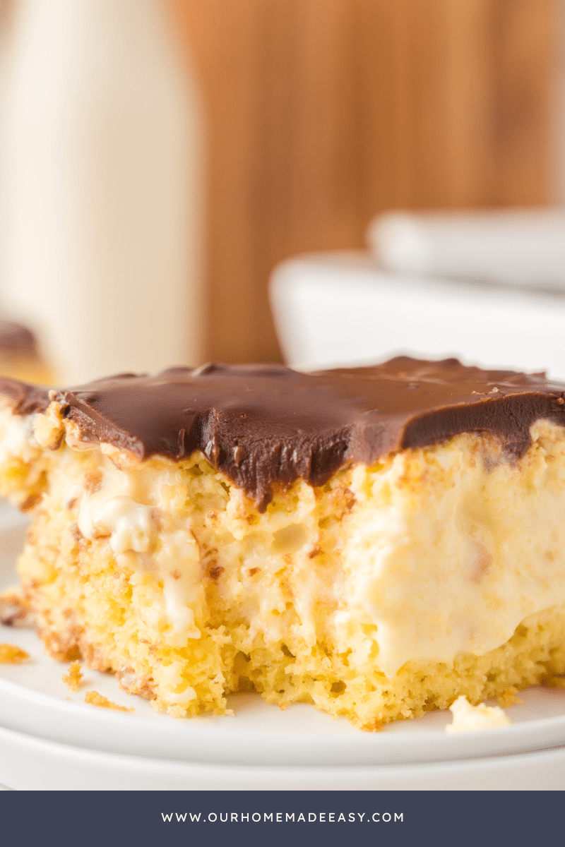 vanilla cake with pudding close up on white plate