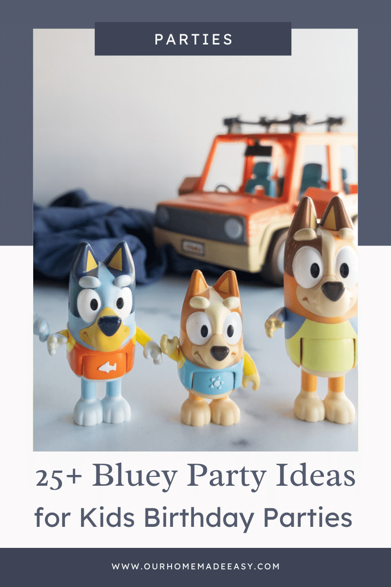 Bluey party ideas photo with text